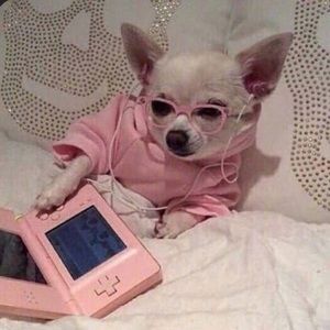 Meet your Posher, Analicia